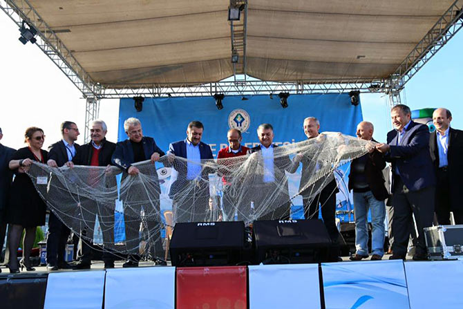 hams7-003.jpg hams7-003.jpg