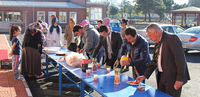 hams8-001.jpg hams8-001.jpg