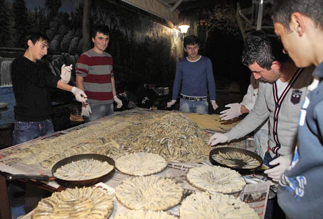 hamsi1.20130126171903.jpg hamsi1.20130126171903.jpg