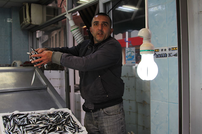 hamsi2-001.jpg hamsi2-001.jpg