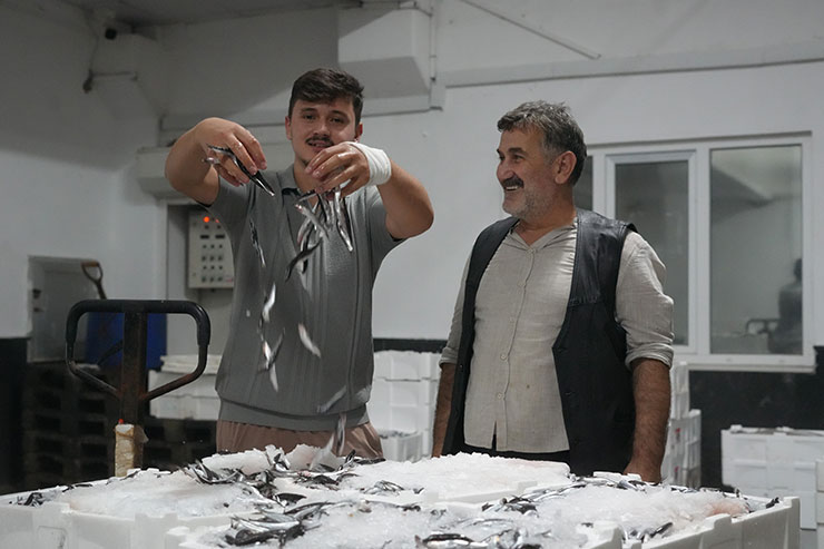 hamsi3-019.jpg