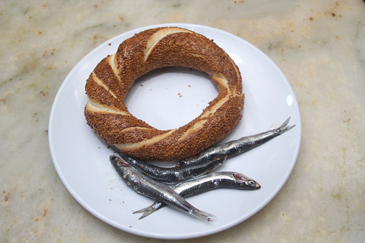 hamsili2.jpg