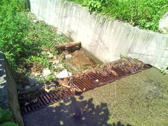 handagi2.jpg handagi2.jpg