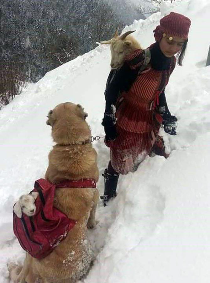 heidi1.jpg heidi1.jpg