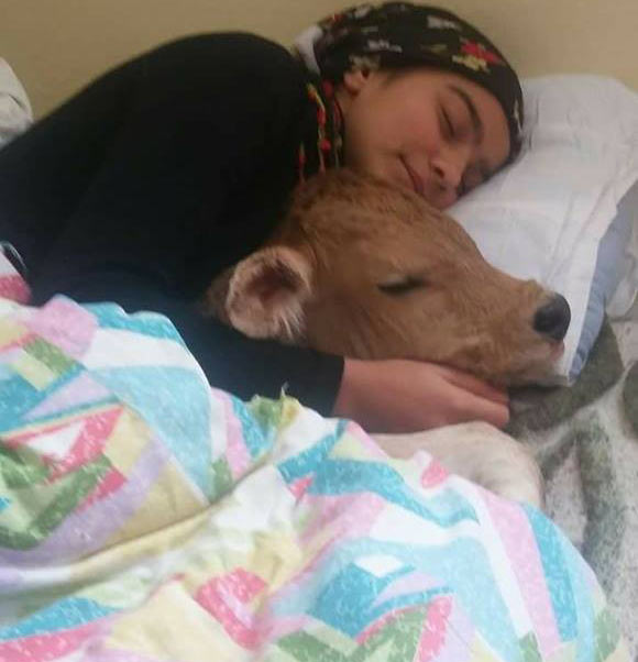 heisi1.jpg heisi1.jpg