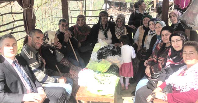 hems02.20130405094345.jpg hems02.20130405094345.jpg