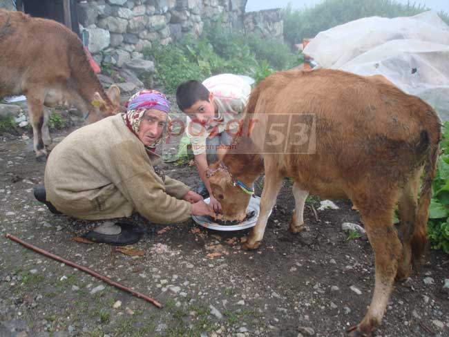 hems02.jpg hems02.jpg