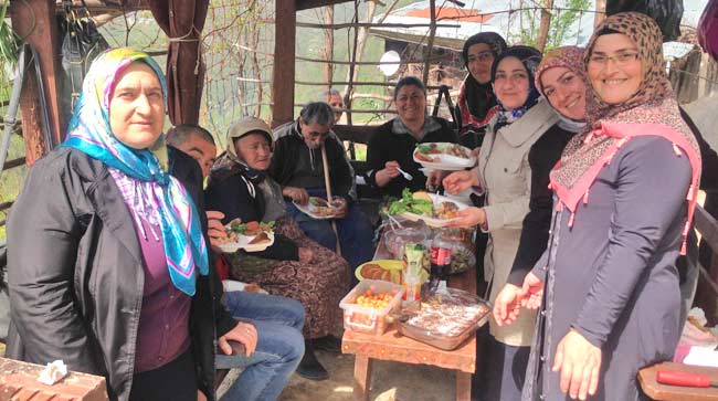 hems04.jpg hems04.jpg