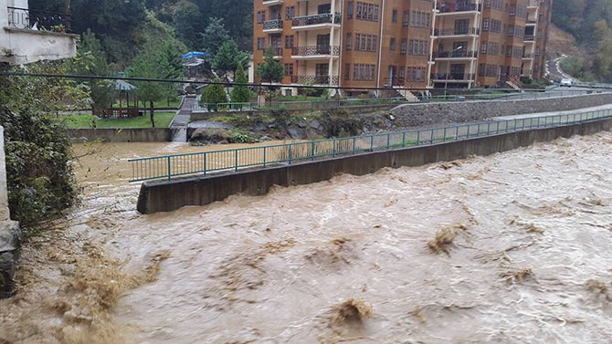 hems1-003.jpg hems1-003.jpg