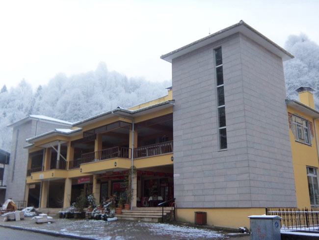 hems1.20130109161845.jpg hems1.20130109161845.jpg