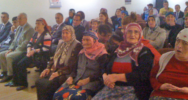 hems1.20130516114417.jpg hems1.20130516114417.jpg