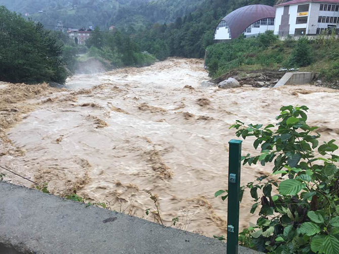 hems2-010.jpg hems2-010.jpg