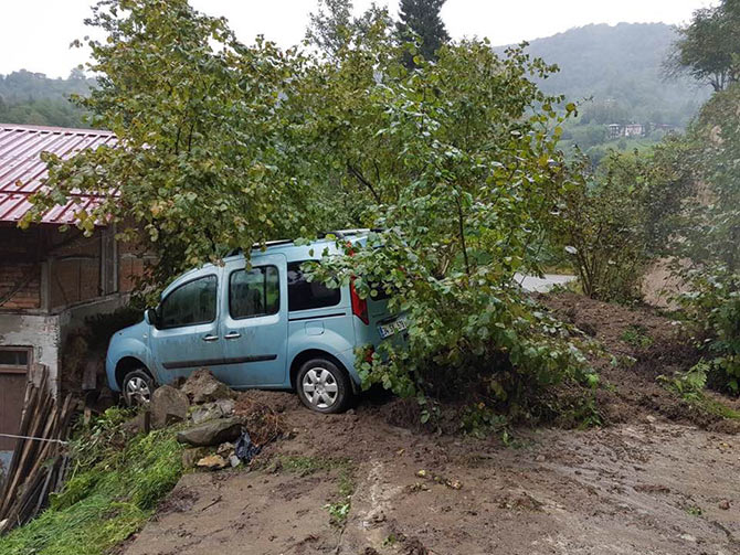 hems3-009.jpg hems3-009.jpg