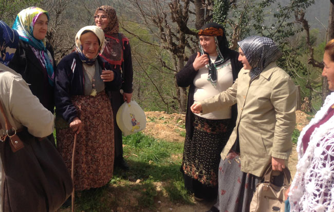 hems3.20130405093552.jpg hems3.20130405093552.jpg