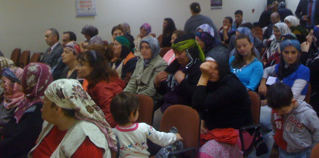 hems3.20130516114349.jpg hems3.20130516114349.jpg