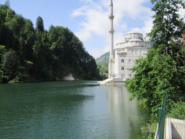 hems3.20131006134155.jpg hems3.20131006134155.jpg