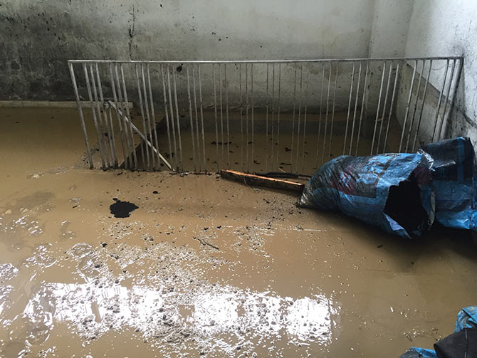 hems5-001.jpg hems5-001.jpg