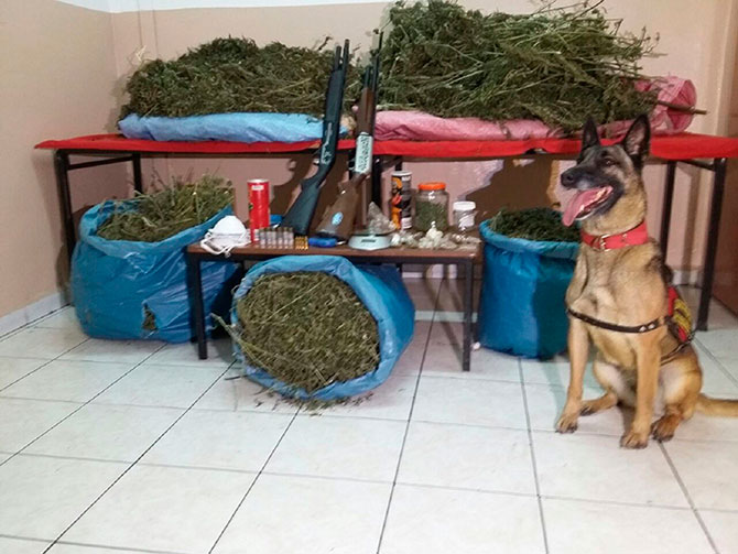 hemsin-004.jpg hemsin-004.jpg