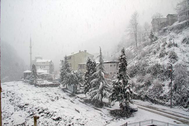 hemsin03.20130306010409.jpg hemsin03.20130306010409.jpg