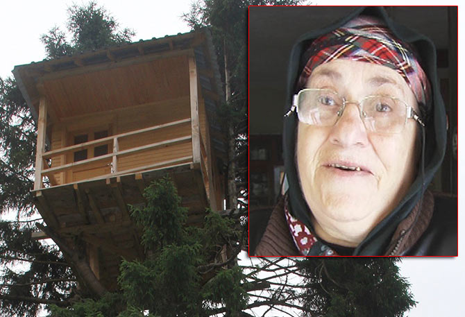 hemsin2-001.jpg hemsin2-001.jpg