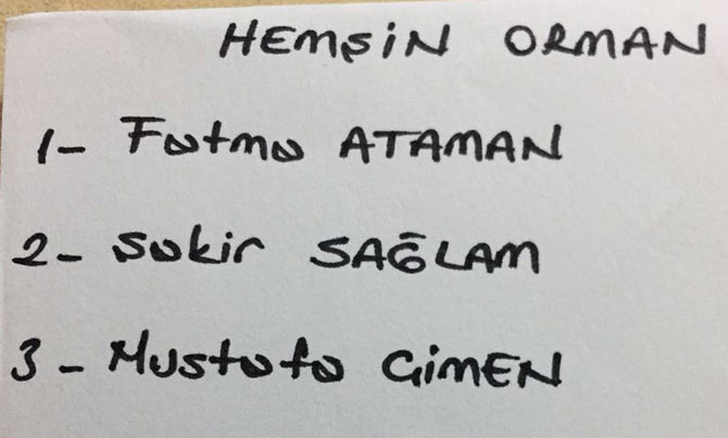 hemsinorman1.jpg hemsinorman1.jpg