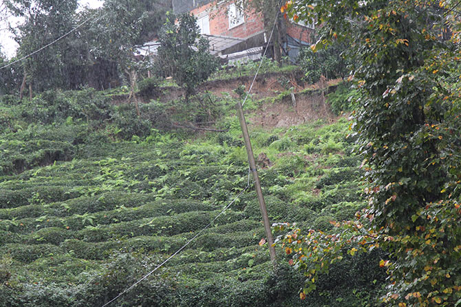 heyelan1-009.jpg heyelan1-009.jpg