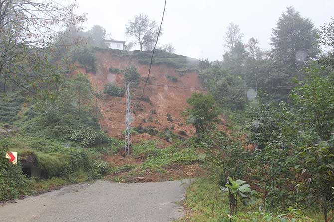 heyerlan3.jpg heyerlan3.jpg