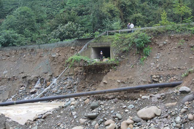 heylan2.jpg heylan2.jpg