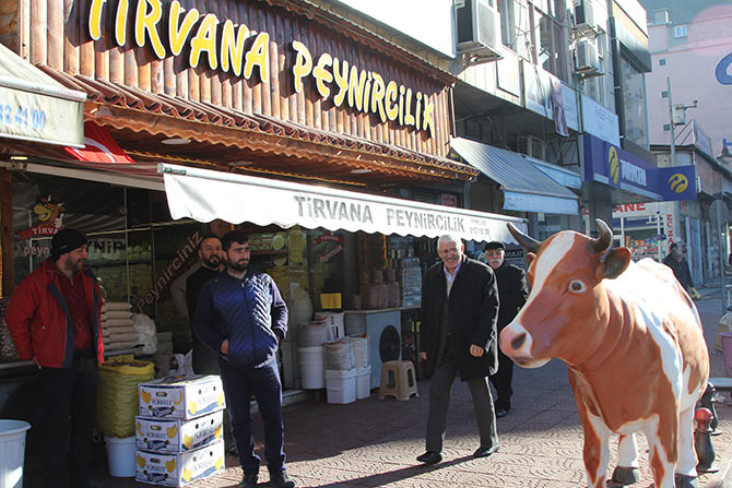 inek01.jpg inek01.jpg