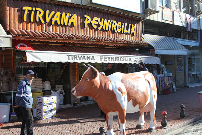 inek3-001.jpg inek3-001.jpg