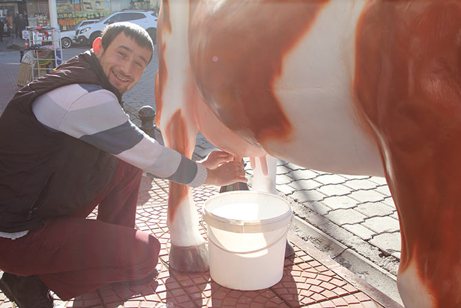 inek4-001.jpg inek4-001.jpg