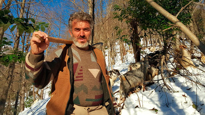 inekler3.jpg inekler3.jpg