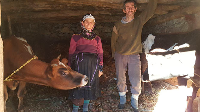 inekler5.jpg inekler5.jpg