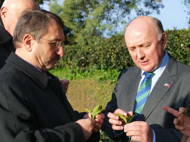 ingiliz-elci-caya-goz-dikt1.jpg ingiliz-elci-caya-goz-dikt1.jpg