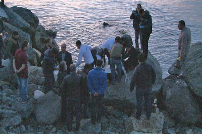 int1.20150426223402.jpg int1.20150426223402.jpg