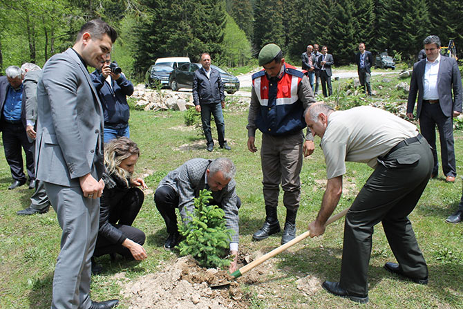 jand2-001.jpg jand2-001.jpg