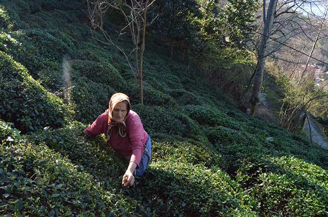 kadin1-001.jpg kadin1-001.jpg