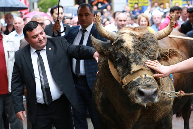 kafkasor2.jpg kafkasor2.jpg