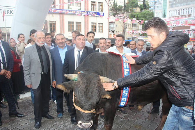 kafkasor3.jpg kafkasor3.jpg