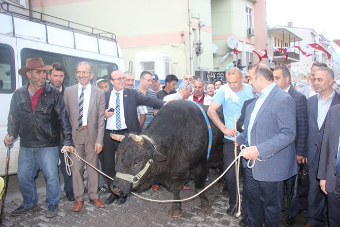 kafkasor4.jpg kafkasor4.jpg