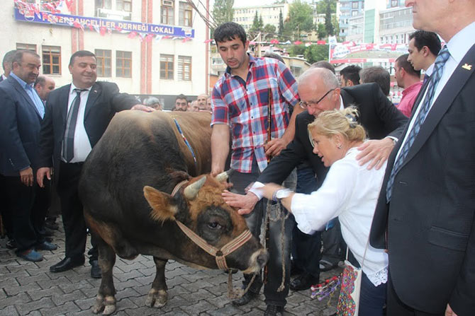 kafkasor6.jpg kafkasor6.jpg