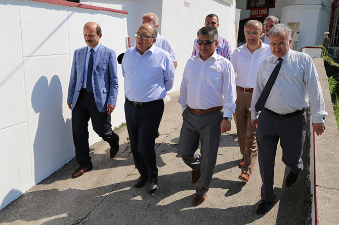 kale1-001.jpg kale1-001.jpg