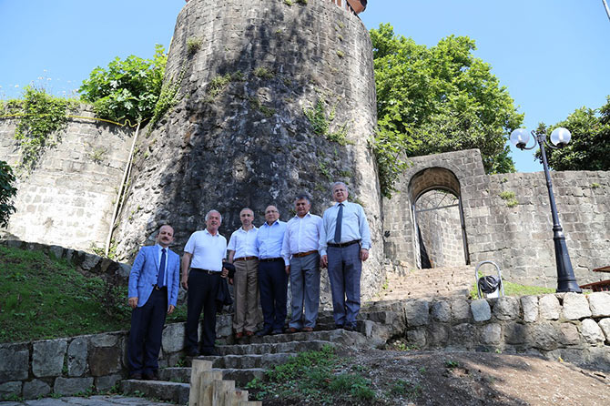 kale2-001.jpg kale2-001.jpg