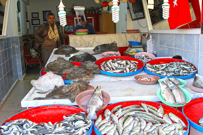 kalkan-002.jpg kalkan-002.jpg