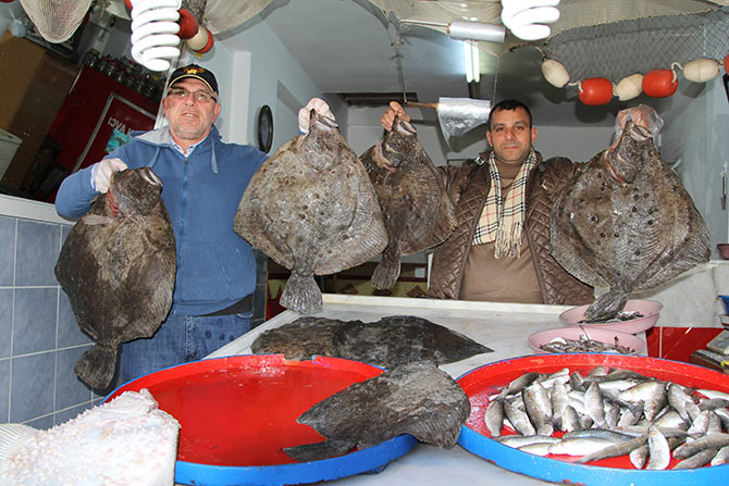 kalkan1-001.jpg kalkan1-001.jpg