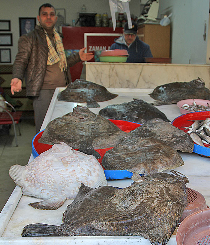 kalkan3-001.jpg kalkan3-001.jpg