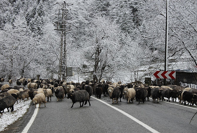 kar-003.jpg kar-003.jpg