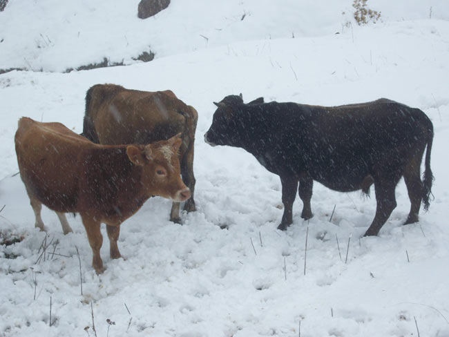 kar1.20131007192436.jpg kar1.20131007192436.jpg