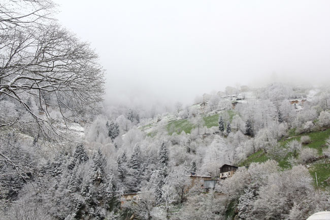 kar1.20150413094914.jpg kar1.20150413094914.jpg