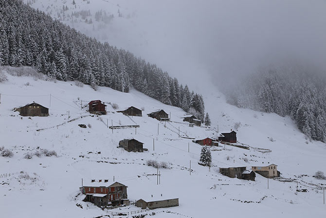 kar2-003.jpg kar2-003.jpg